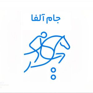 تور بزرگ - جام آلفا شش / تورنمنت جایزه بزرگ